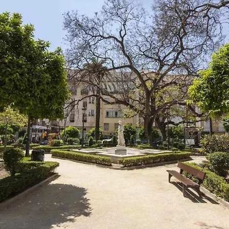 Cerca De Picasso Y La Merced, Renovado
